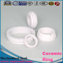 Alumina Cordierite Ceramic Ring